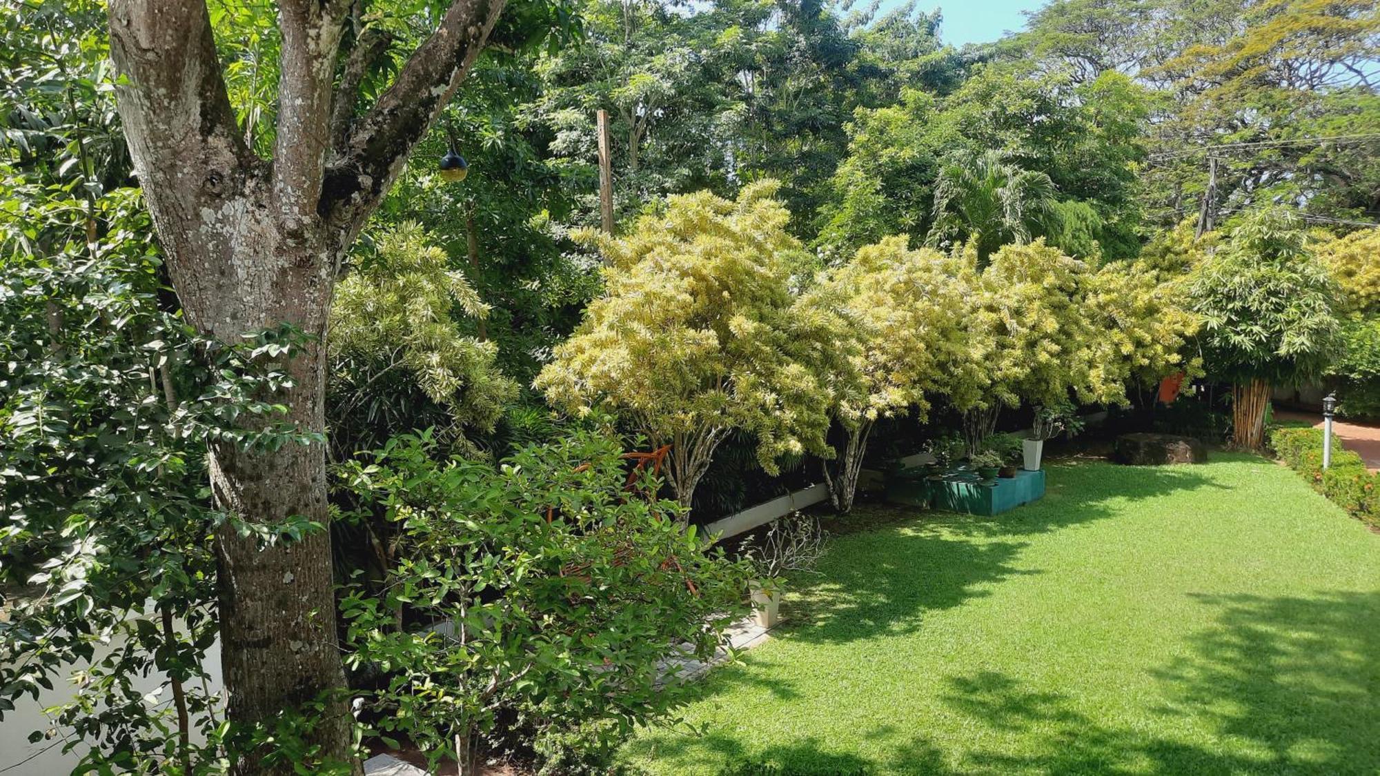 Rockery Villa Bentota Exteriör bild