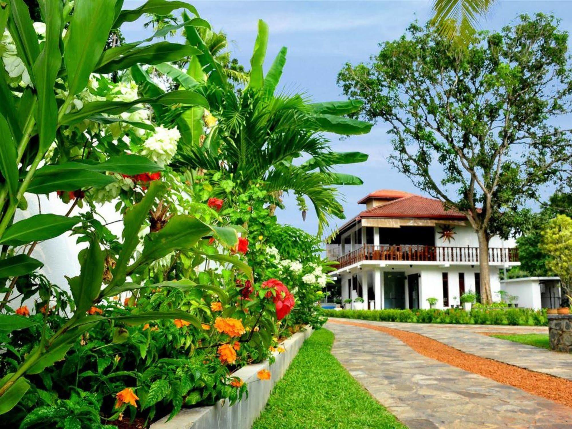 Rockery Villa Bentota Exteriör bild